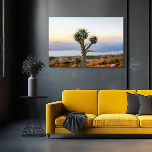 Cactus Desert Art | MusaArtGallery™