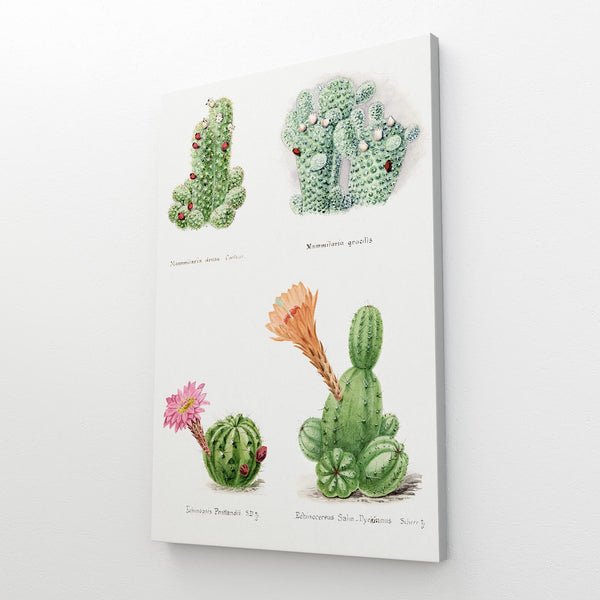 Cactus Digital Art | MusaArtGallery™