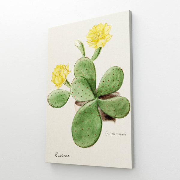 Cactus Flower Art | MusaArtGallery™
