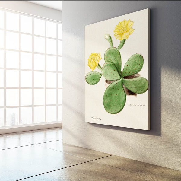 Cactus Flower Art | MusaArtGallery™
