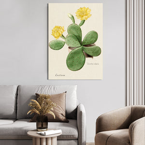 Cactus Flower Art | MusaArtGallery™
