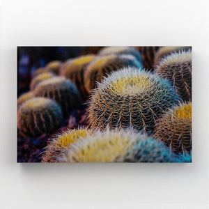 Cactus Wall Art Design | MusaArtGallery™