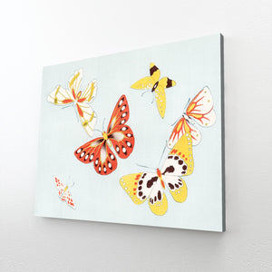 Canvas Butterfly Wall Art | MusaArtGallery™