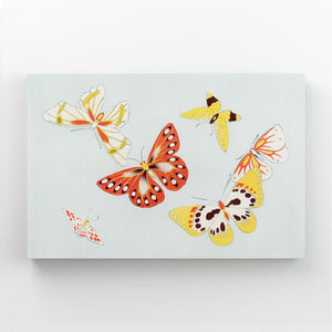 Canvas Butterfly Wall Art | MusaArtGallery™