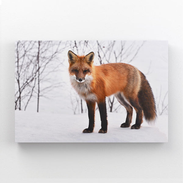 Canvas Fox Art  | MusaArtGallery™