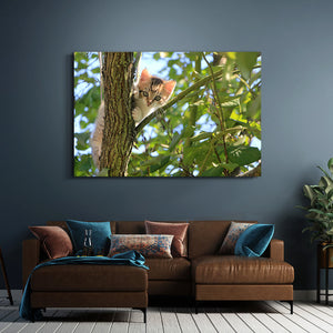 Cat Canvas Wall Art | MusaArtGallery™