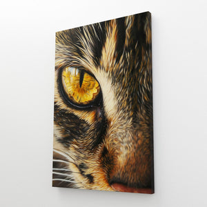 Cat Eye Wall Art | MusaArtGallery™