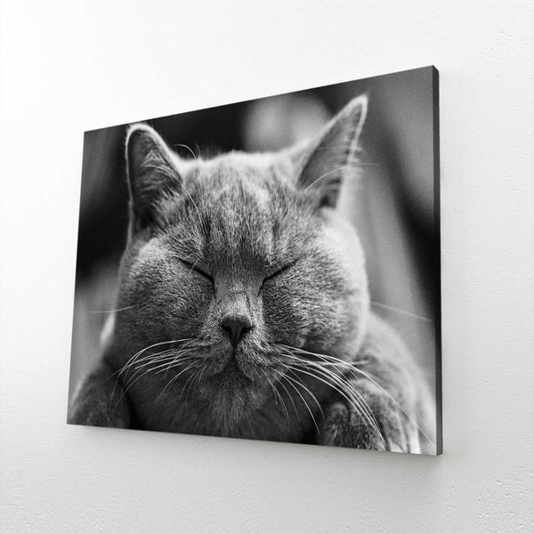 Cat Kitchen Wall Art | MusaArtGallery™
