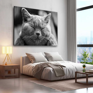 Cat Kitchen Wall Art | MusaArtGallery™