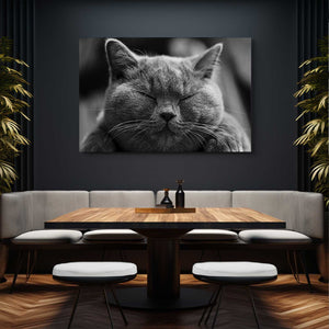 Cat Kitchen Wall Art | MusaArtGallery™