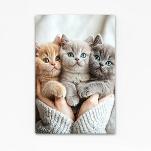 Cats Cute Art