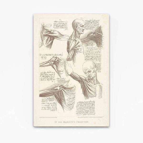 Christian Leonard Da Vinci