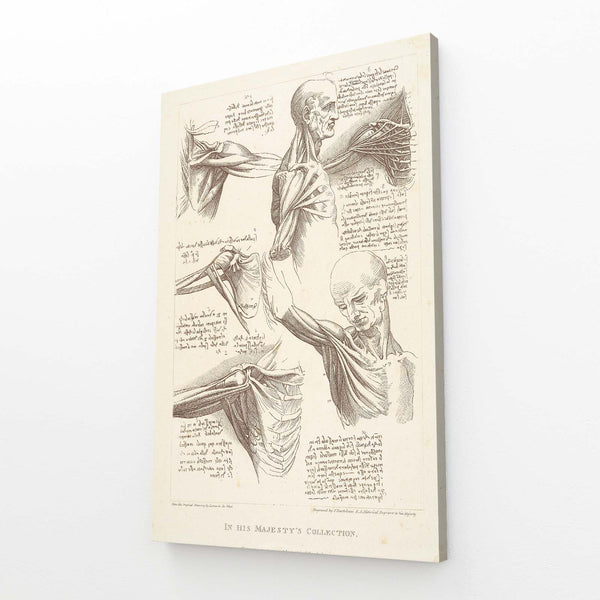 Christian Leonard Da Vinci