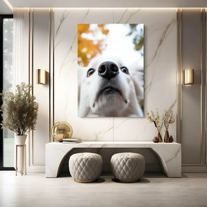 Close Up Dog Art