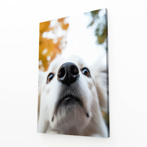Close Up Dog Art