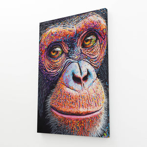 Close Up Monkey Art