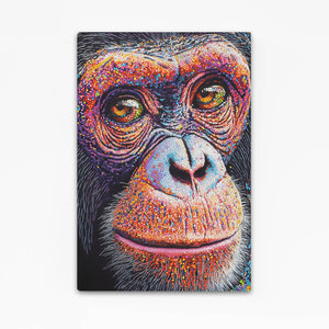 Close Up Monkey Art