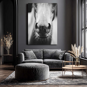 Closeup Horse Art