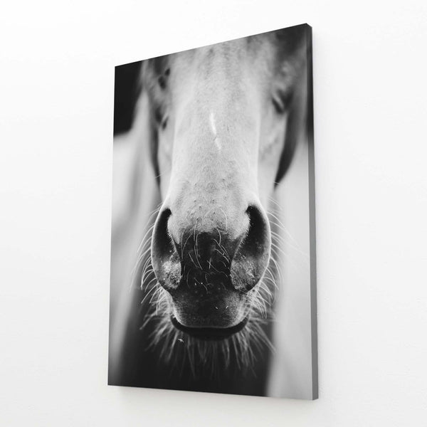 Closeup Horse Art