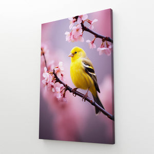 Colorful Bird Canvas Wall Art | MusaArtGallery™