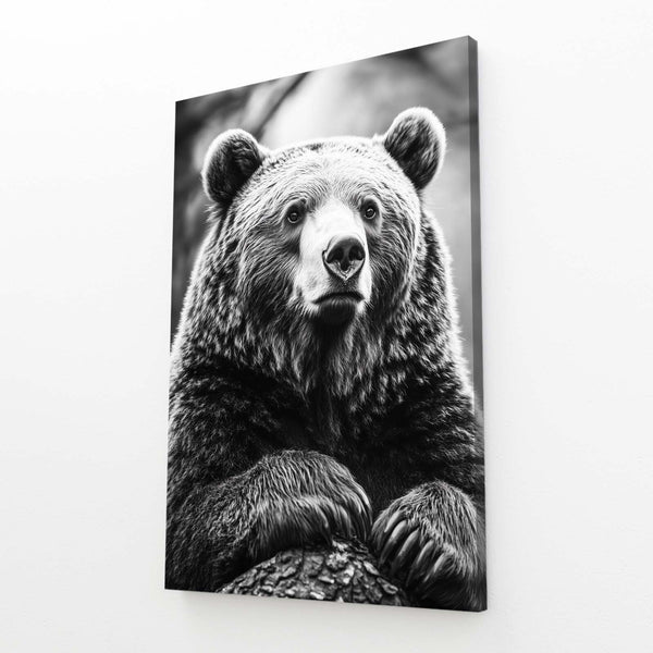 Cool Bear Wall Art