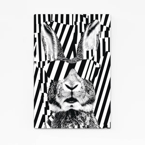 Cool Bunny Wall Art