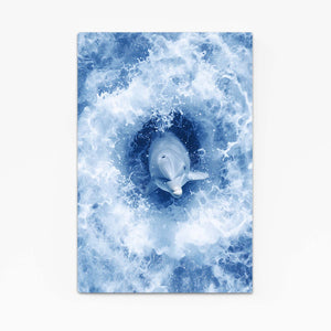 Cool Dolphin Art