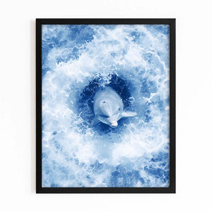 Cool Dolphin Art