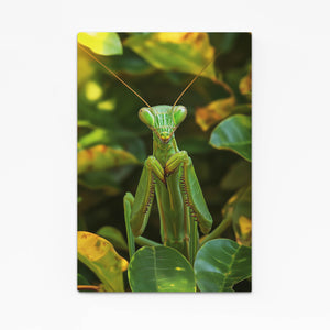 Cool Wall Art Praying Mantis Close-Up | MusaArtGallery™