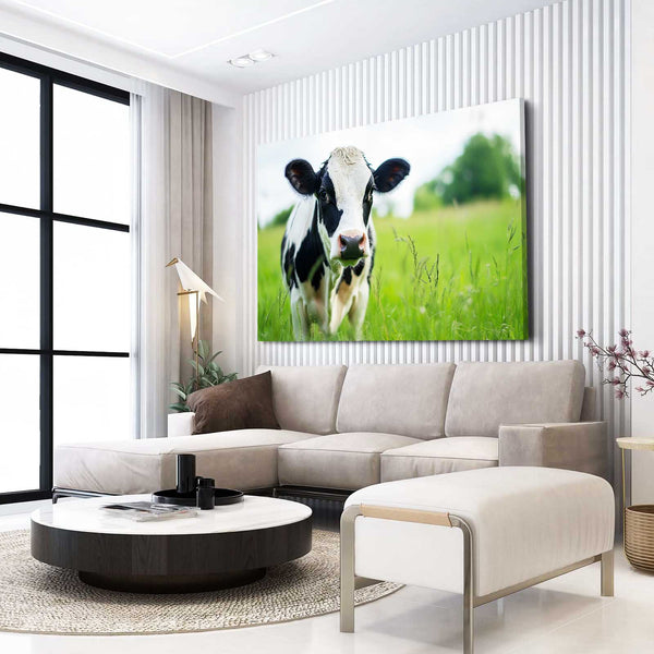 Cow Canvas