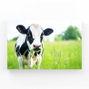 Cow Canvas
