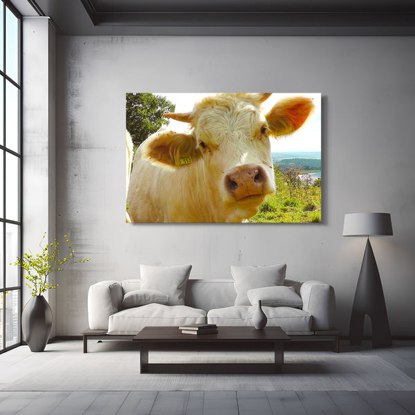 Cow Face Wall Art