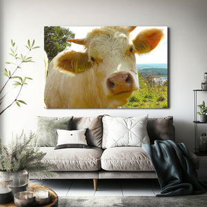 Cow Face Wall Art