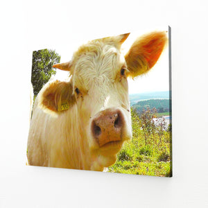 Cow Face Wall Art