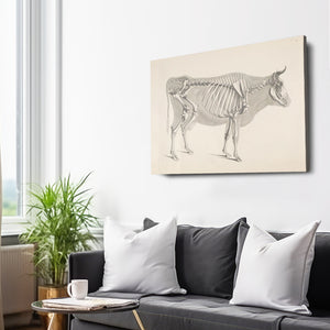 Cow Print Vintage