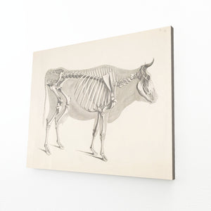 Cow Print Vintage