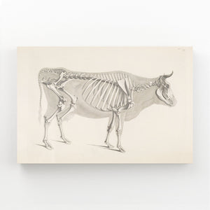 Cow Print Vintage
