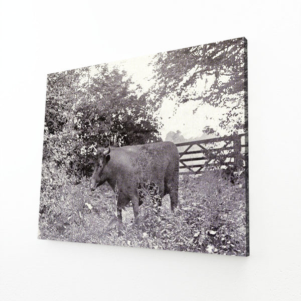 Cow Print Wall Decor