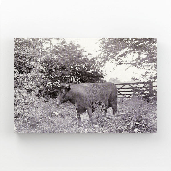 Cow Print Wall Decor