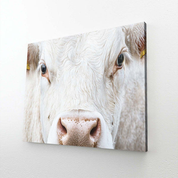 Cow Wall Art White