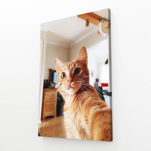 Curious Selfie Cat Art | MusaArtGallery™