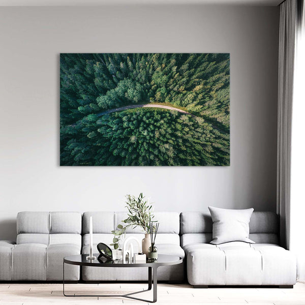 Curved Path Tree Art | MusaArtGallery™