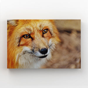 Cute Face Fox Art  | MusaArtGallery™