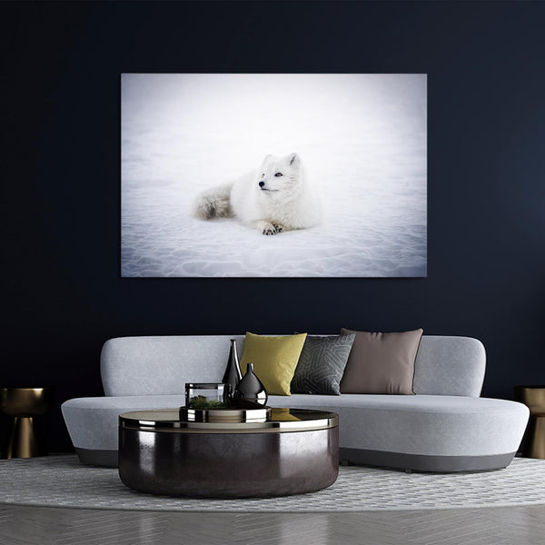 Cute Snow Fox Art  | MusaArtGallery™