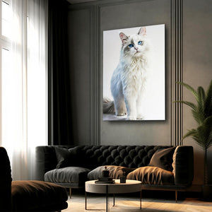 Cute White Cat Art | MusaArtGallery™