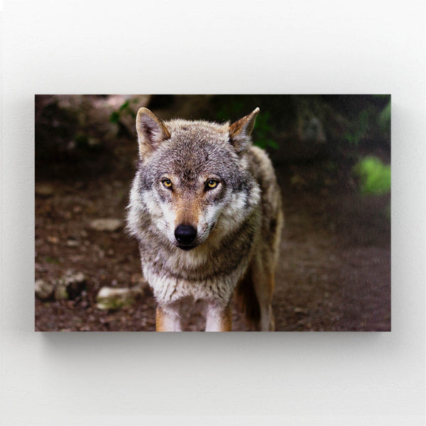 Cute Wolf Art Decor  | MusaArtGallery™