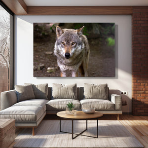 Cute Wolf Art Decor  | MusaArtGallery™