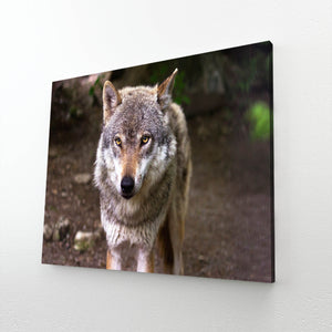 Cute Wolf Art Decor  | MusaArtGallery™