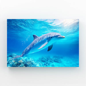 Dark Navy Dolphin Art