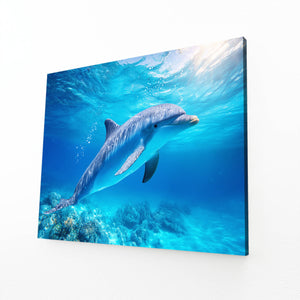 Dark Navy Dolphin Art